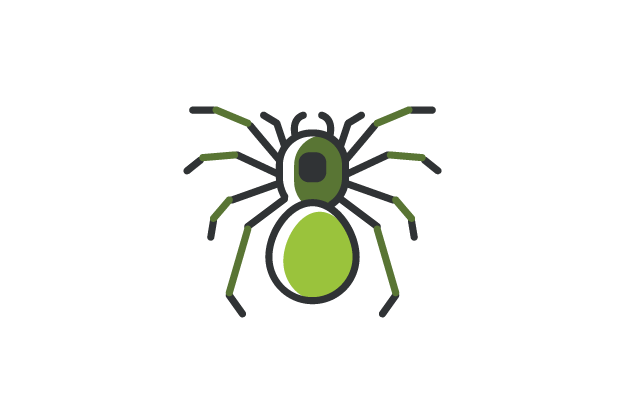 Vector illustration of a spider