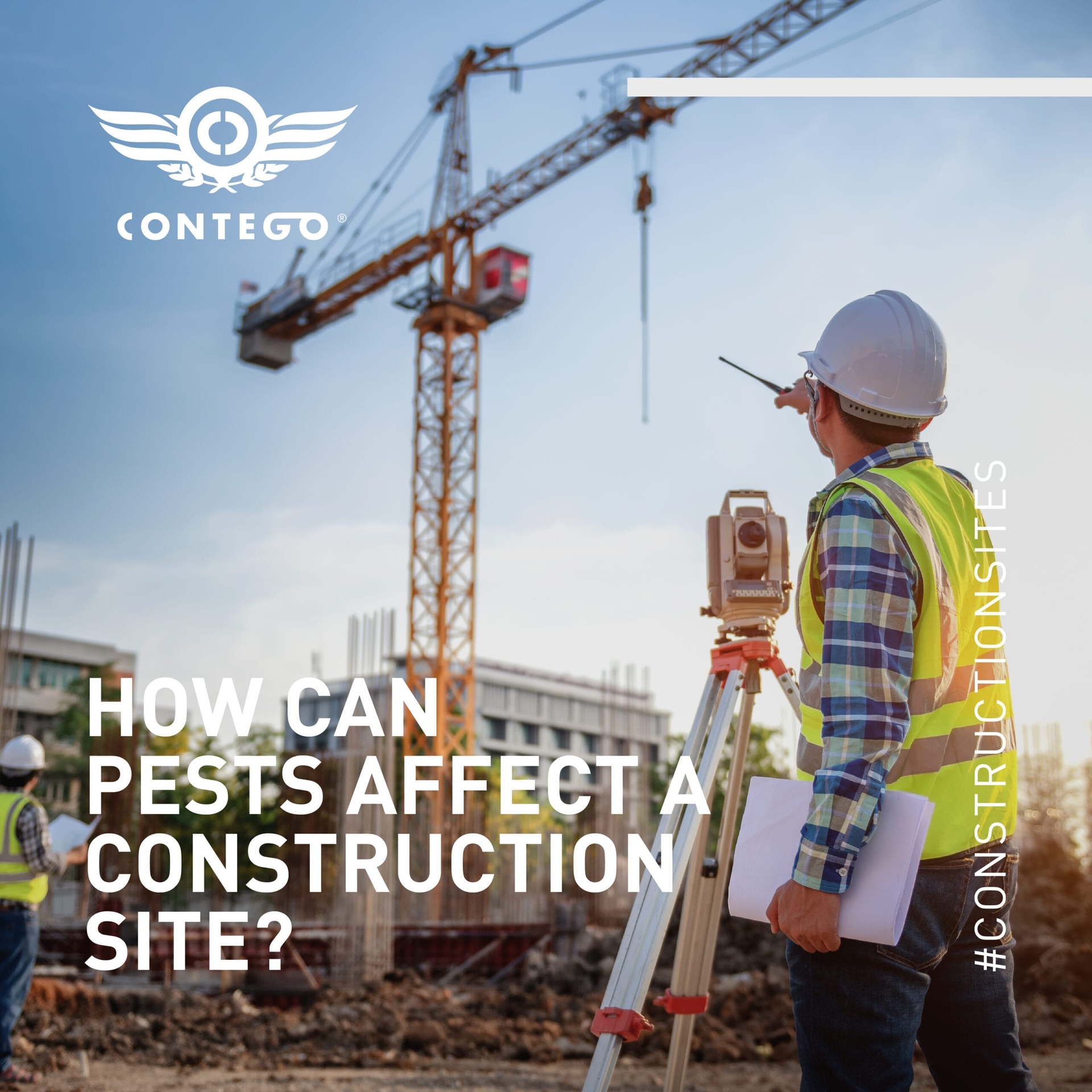 How Can Pests Affect A Construction Site